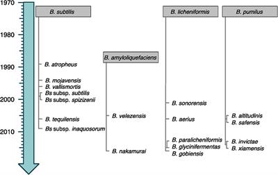 Overview of the Antimicrobial Compounds Produced by Members of the Bacillus subtilis Group